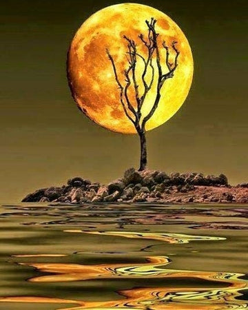 Golden Moon Over the Wilderness Paint By Numbers Kit