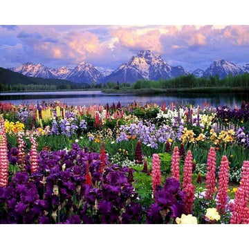 Grand Teton National Park 'Flowers at Pilgrim Creek' Paint By Numbers Kit