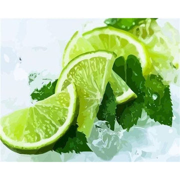Citrus Fruit 'Slice Lime 2.0' Paint By Numbers Kit