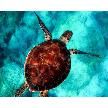 Sea Turtle 'Into the Deep' Paint By Numbers Kit