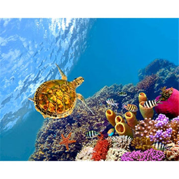 Sea Turtle 'Stunning Underwater' Paint By Numbers Kit
