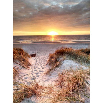 Dry Grass on Sand with Sunset Paint By Numbers Kit