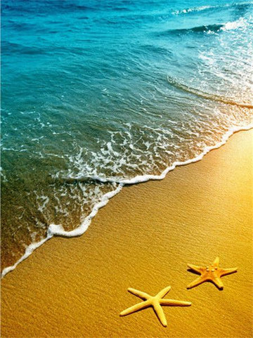 Rainbow Beach with Starfish Paint By Numbers Kit