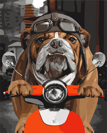 Dog Riding Motorcycle Paint By Numbers Kit