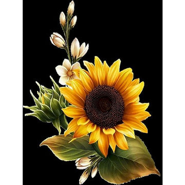 Sunflower and Jasmine Paint By Numbers Kit