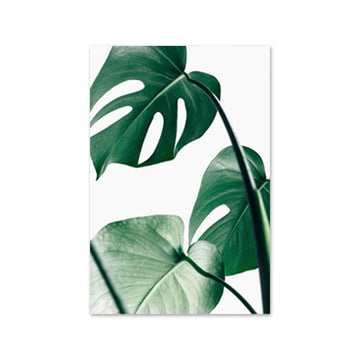 Green Plants 'Classic Swiss Cheese' Paint by Numbers Kit