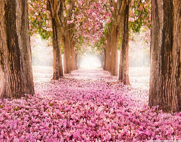 Cherry Blossoms Landscape Paint By Numbers Kit