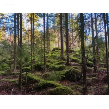 Mossy Green Forest Paint by Numbers Kit