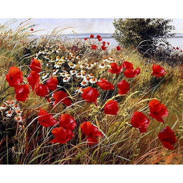 Red Poppies Field Paint By Numbers Kit