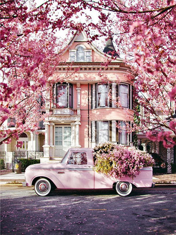 Pleasing Pinkish Scenery Paint By Numbers Kit