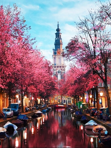 Zuiderkirk Church in Amsterdam Oil Painting on Canvas Paint by Numbers Kit
