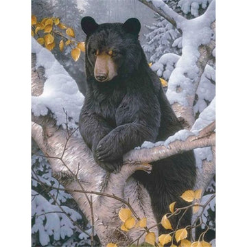 Black Bear 'Thinker' Paint By Numbers Kit