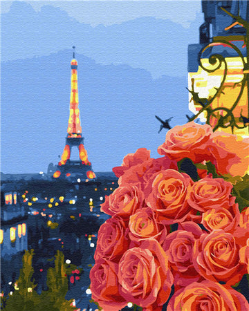 Paris 'Pink Roses' Paint By Numbers Kit