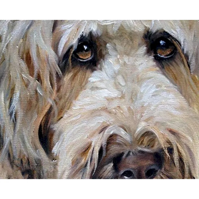Goldendoodle Paint by Numbers Kit — Lil Paint Shop