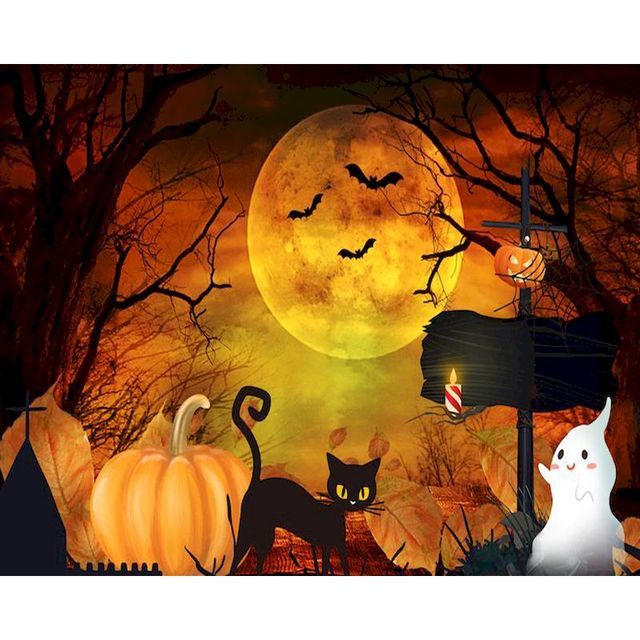 Halloween Cat and the Full Moon Paint By Numbers Kit