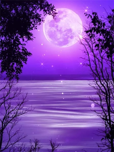 Purple Themed  Moonlit Forest Clearing Paint By Numbers Kit