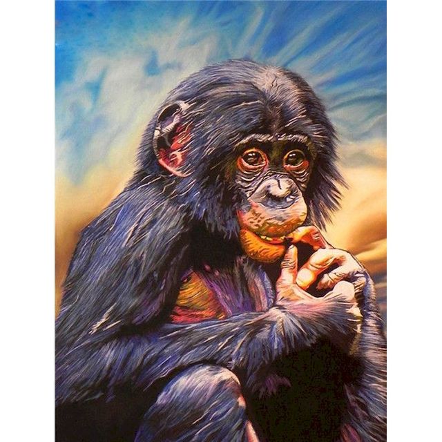 Macaque 'Lovely Monkey' Paint By Numbers Kit