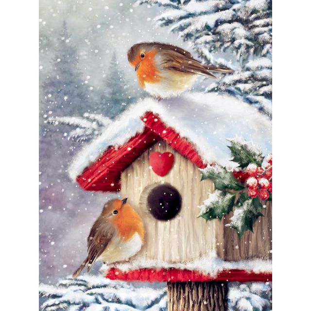 Snowy Bird Shelter 'Lovely Stonechat' Paint By Numbers Kit