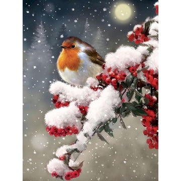 Midnight Snow Fall 'Stonechat on Red Flower' Paint By Numbers Kit