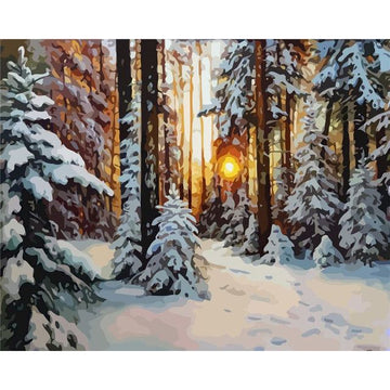 Winter Sunrise at the Pine Tree Forest Paint By Numbers Kit