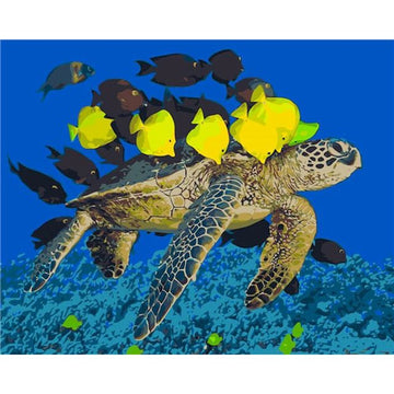Sea Turtle 'Swim with the Fishes' Paint By Numbers Kit