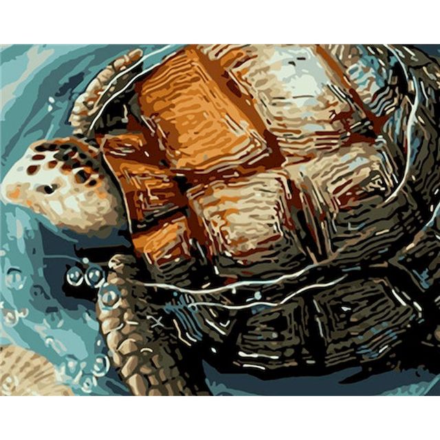 Pond Slider Turtle Paint By Numbers Kit