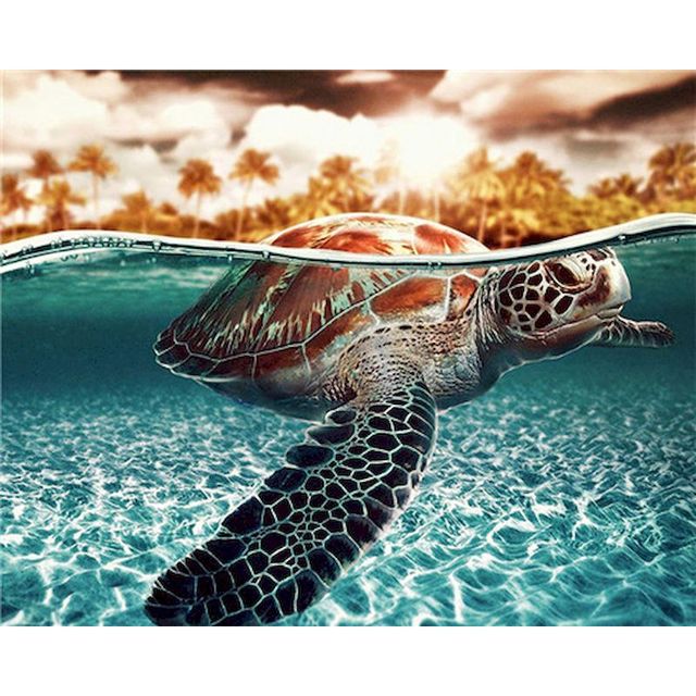 Sea Turtle 'Clear Water Sunset' Paint By Numbers Kit