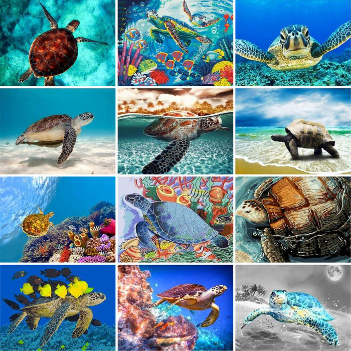 Sea Turtle 'Swim with the Fishes' Paint By Numbers Kit