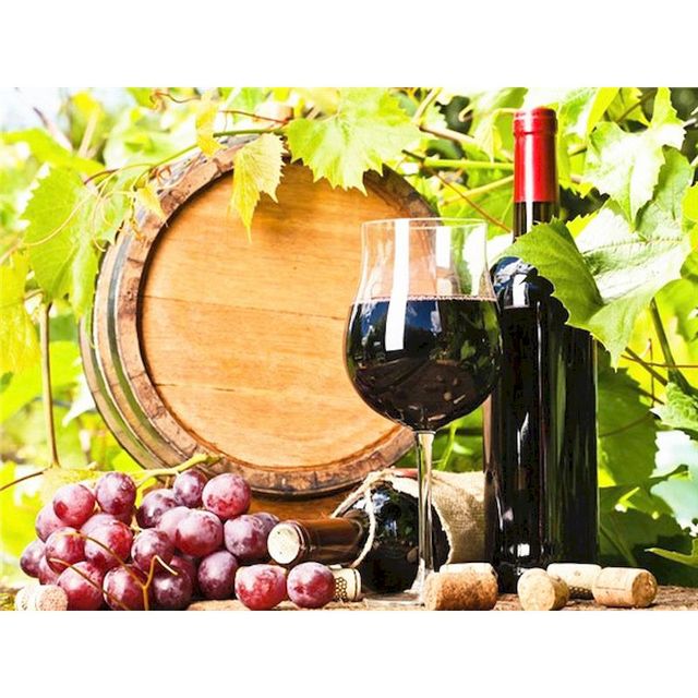 Wine Farm 'Sweet Wine' Paint By Numbers Kit