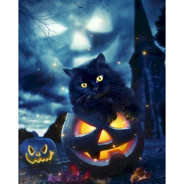 Persian Cat 'Halloween Pumpkin' Paint By Numbers Kit