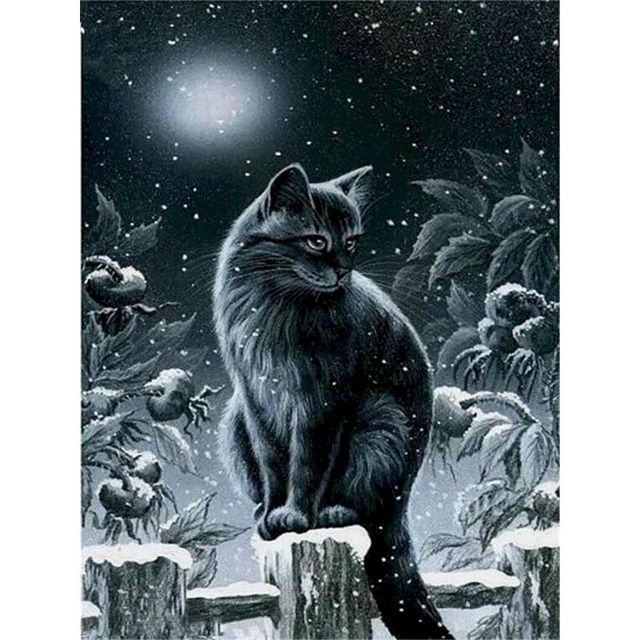 Burmese Cat 'Winter Night' Paint By Numbers Kit