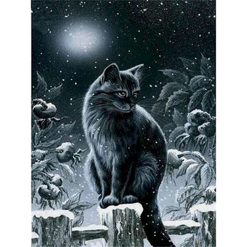 Burmese Cat 'Winter Night' Paint By Numbers Kit