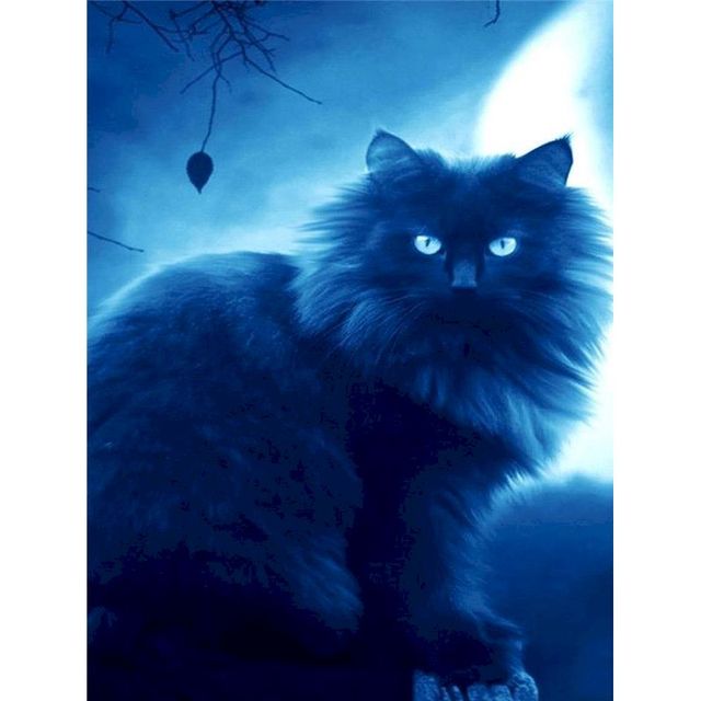 Persian Cat 'Blue Moon' Paint By Numbers Kit