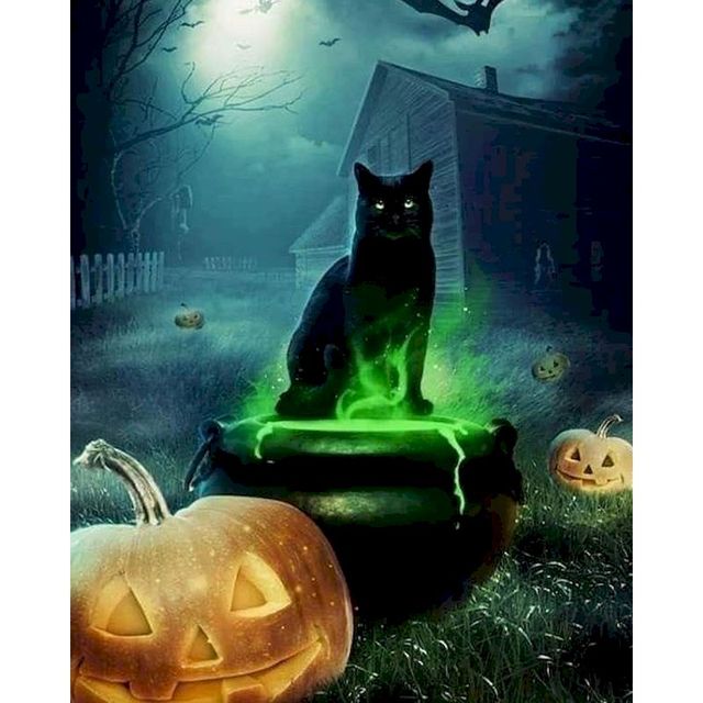 Bombay Cat 'Halloween Witch Cat' Paint By Numbers Kit