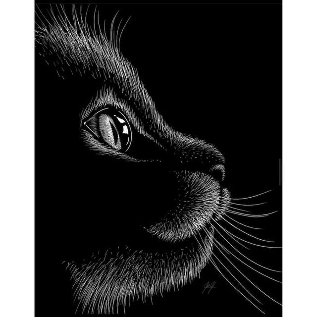Bombay Cat Paint By Numbers Kit