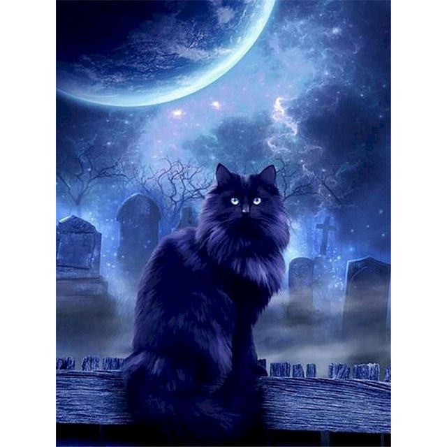 Maine Coon 'Moonlight' Paint By Numbers Kit