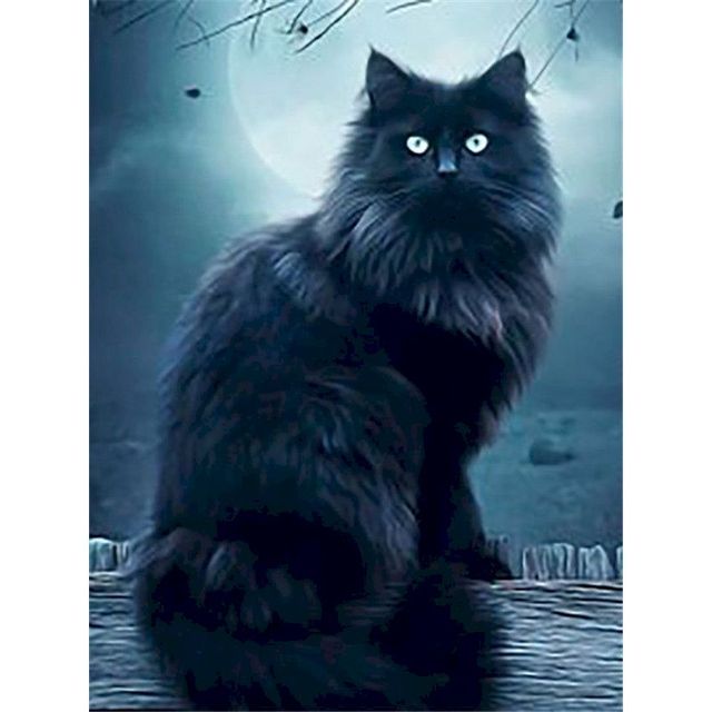 Tiffany Cat 'Blue Moon' Paint By Numbers Kit