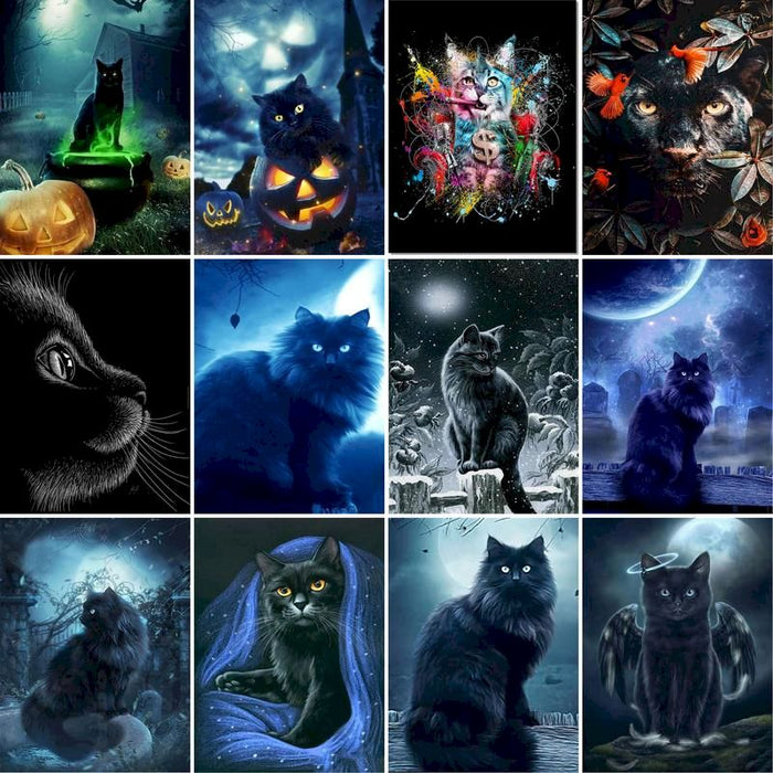 Maine Coon 'Moonlight' Paint By Numbers Kit