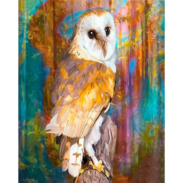 Prismatic Color 'Barn Owl' Paint By Numbers Kit