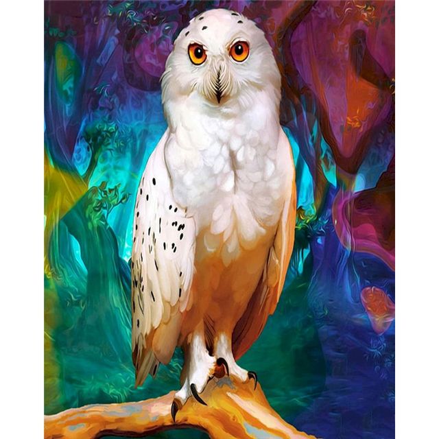 Prismatic Color 'Snowy Owl' Paint By Numbers Kit