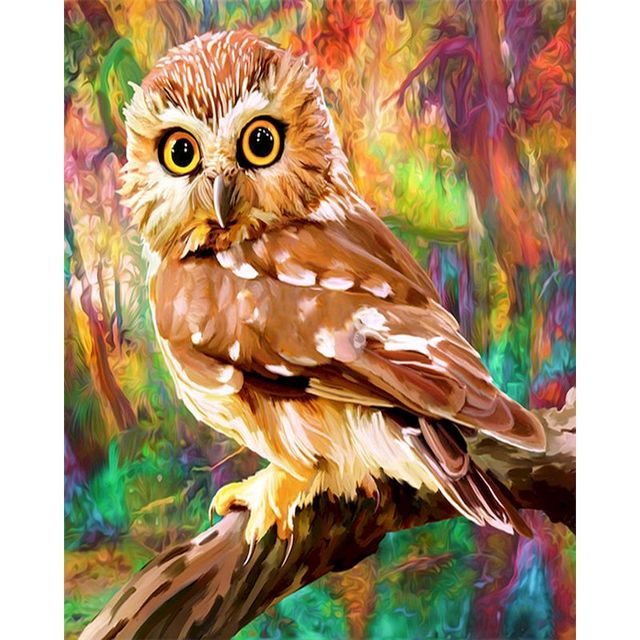 Prismatic Color 'Scops Owl' Paint By Numbers Kit