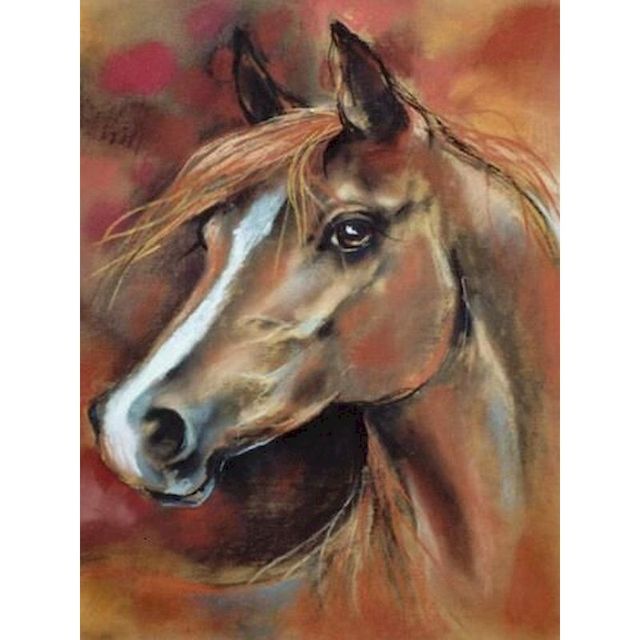 Horse Portrait 'Hanoverian' Paint By Numbers Kit