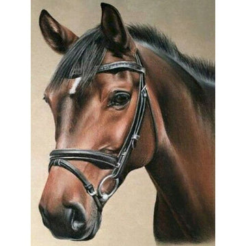Horse Portrait 'Thoroughbred' Paint By Numbers Kit
