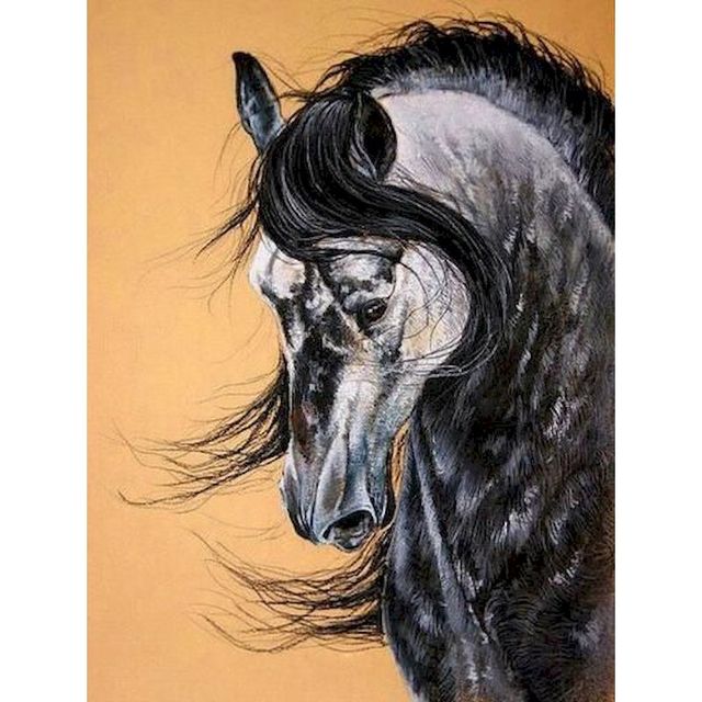 Horse Portrait 'Noriker' Paint By Numbers Kit