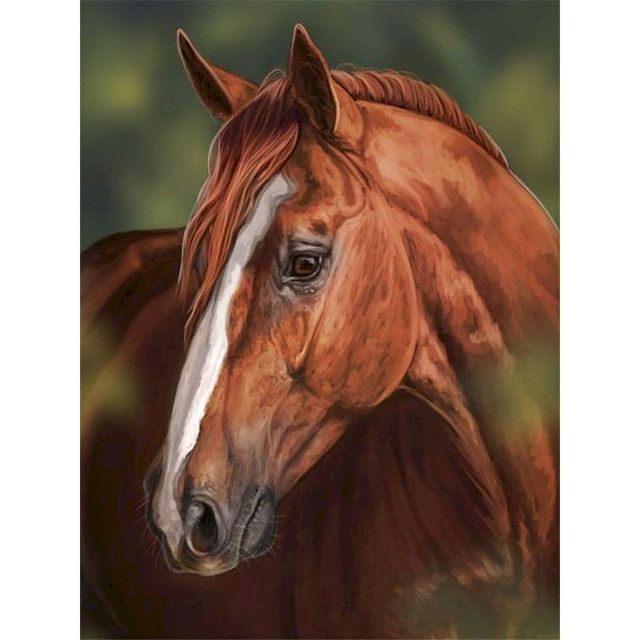 Horse Portrait 'Shire' Paint By Numbers Kit