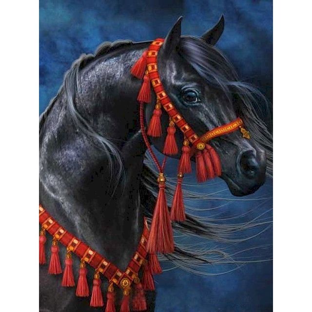 Horse Portrait 'Friesian in Red Tassel' Paint By Numbers Kit