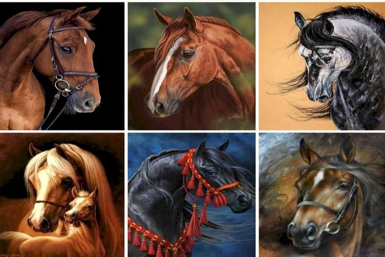 Horse Portrait 'Brown Stallion' Paint By Numbers Kit