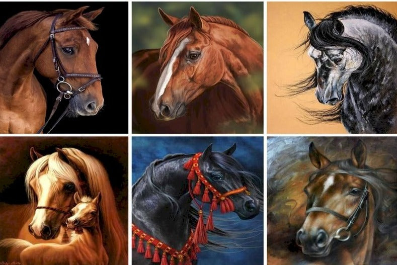 Horse Portrait 'Noriker' Paint By Numbers Kit
