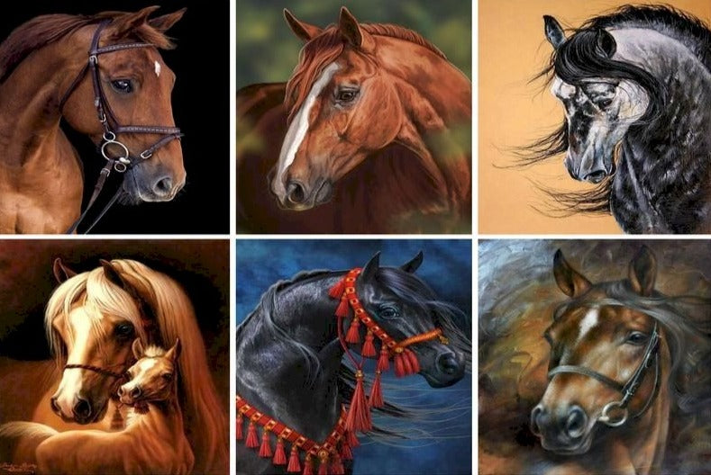 Horse Portrait 'Thoroughbred' Paint By Numbers Kit