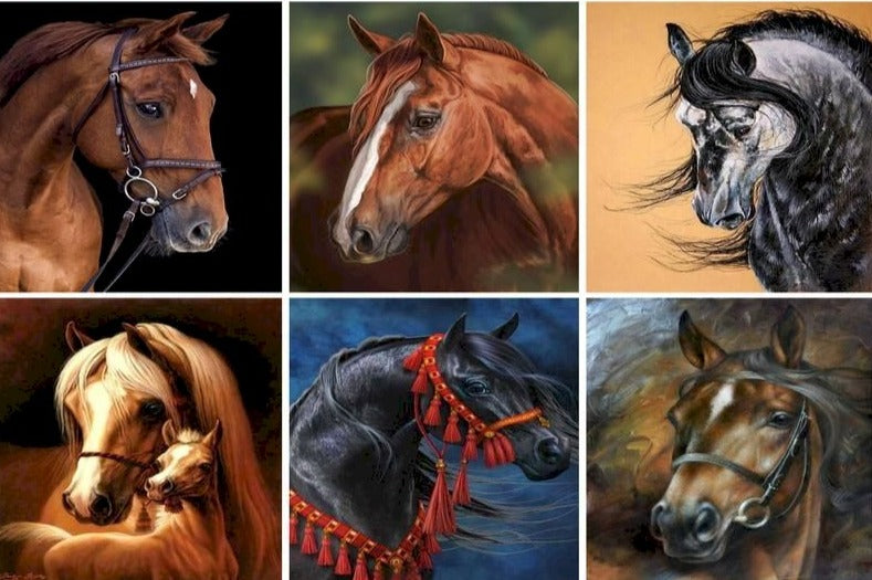 Horse Portrait 'Stunning Lusitano' Paint By Numbers Kit